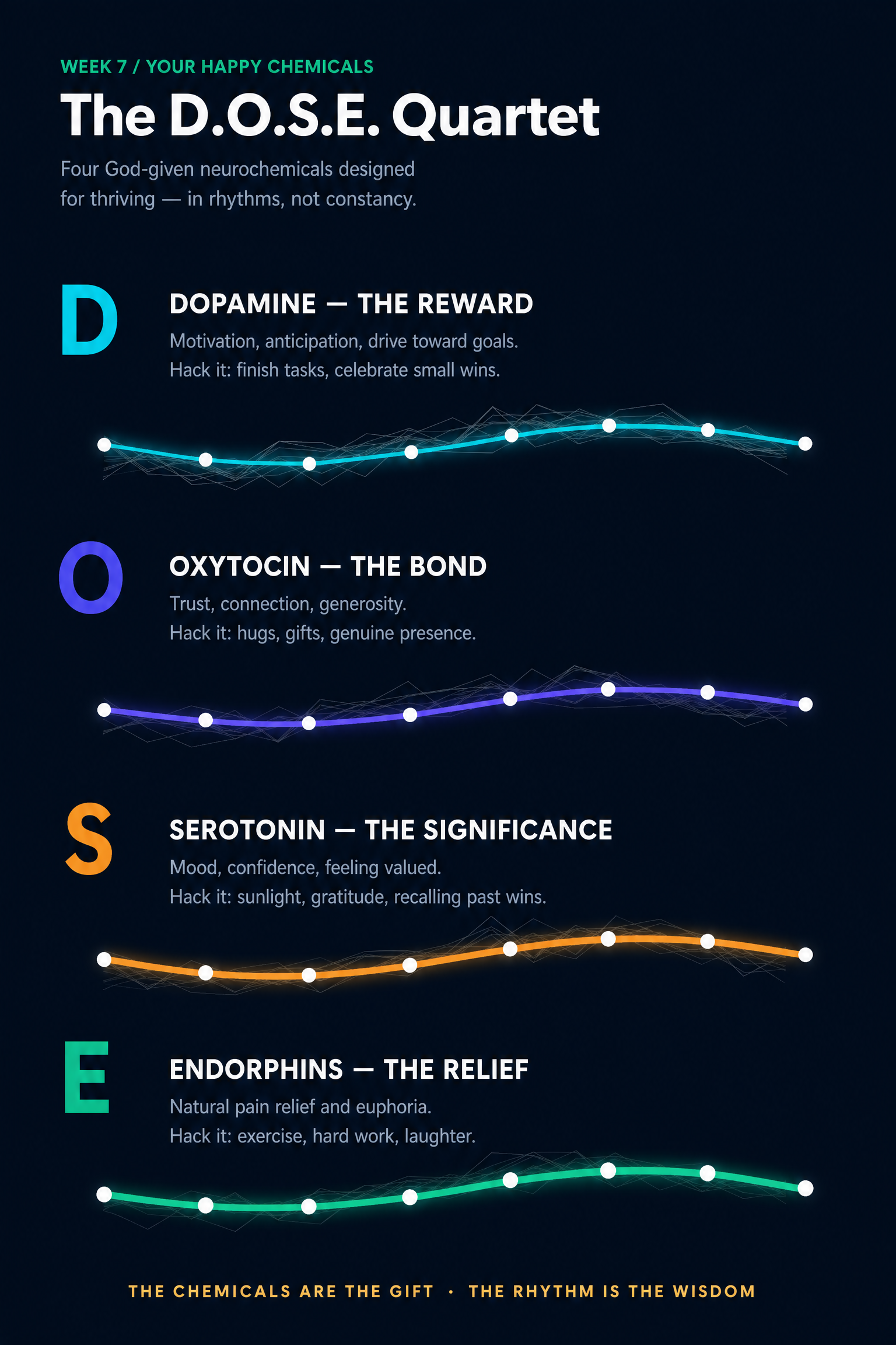 The Happy Hormones — DOSE